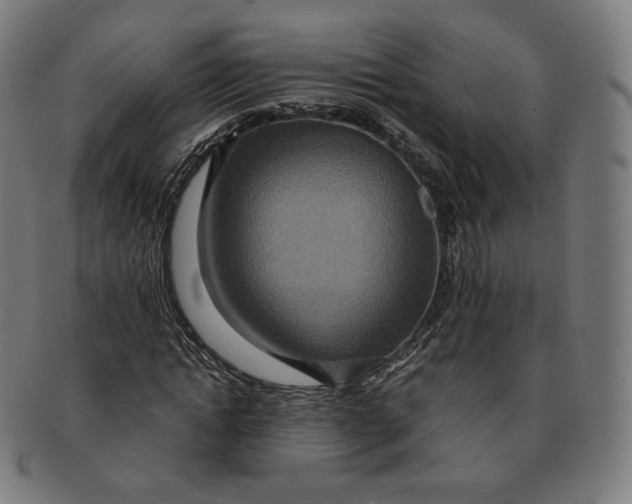 X0000090990822200708241424