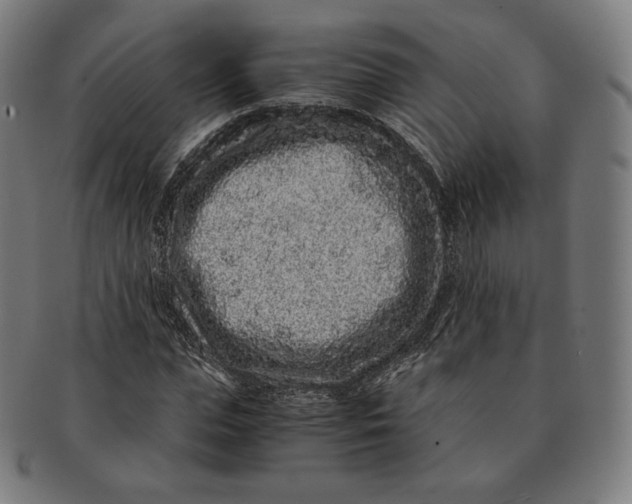 X0000090990823200708241424