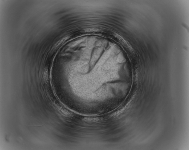 X0000090990825200708241424