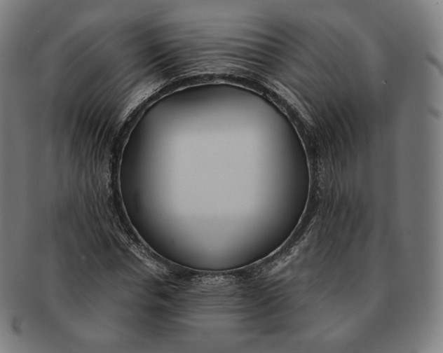 X0000090990826200708241424