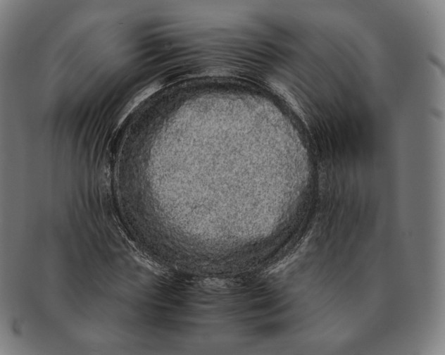 X0000090990827200708241424