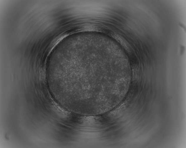 X0000090990828200708241424