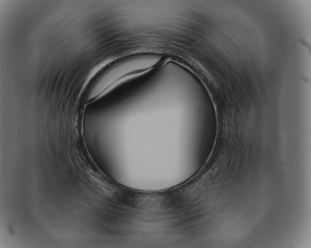 X0000090990830200708241424