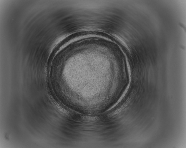 X0000090990831200708241424