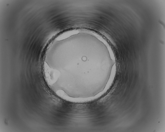 X0000090990832200708241424