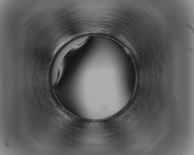 X0000090990834200708241424