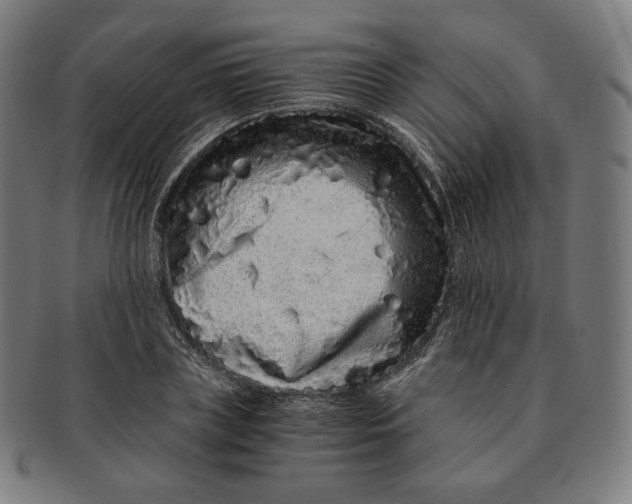 X0000090990835200708241424