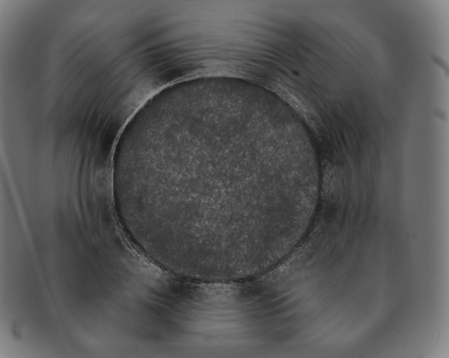 X0000090990836200708241424