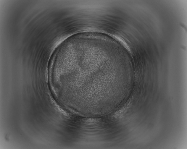 X0000090990839200708241424