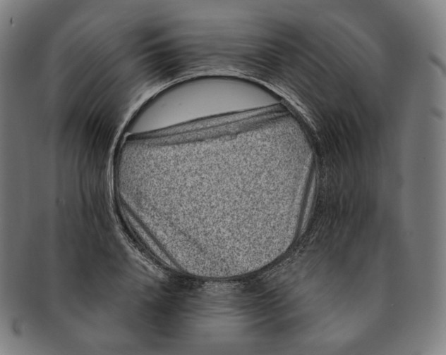 X0000090990840200708241424