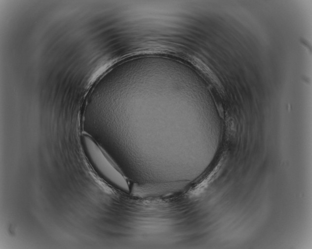 X0000090990842200708241424