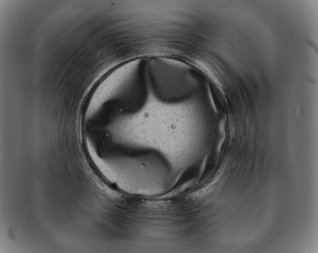 X0000090990843200708241424