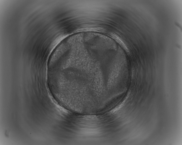 X0000090990844200708241424