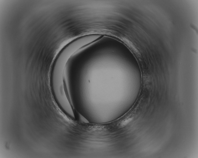 X0000090990846200708241424