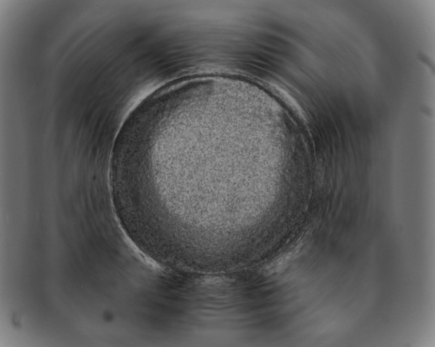 X0000090990847200708241424