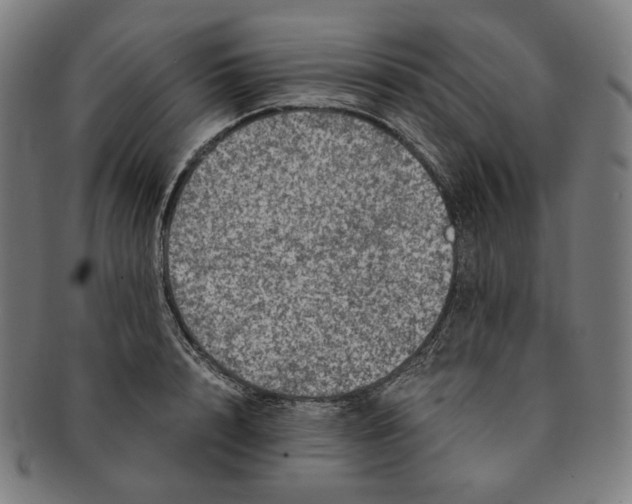 X0000090990848200708241424