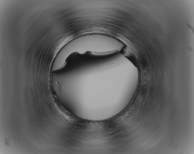 X0000090990850200708241424