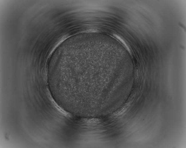 X0000090990851200708241424