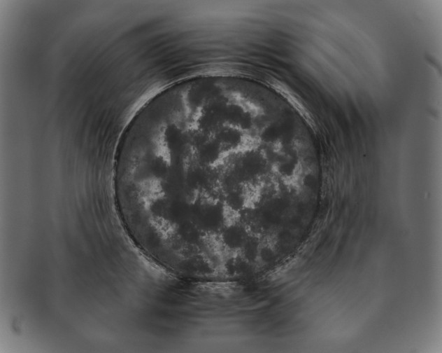 X0000090990853200708241424