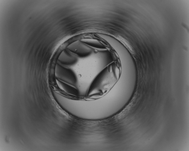 X0000090990854200708241424