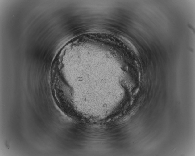 X0000090990855200708241424