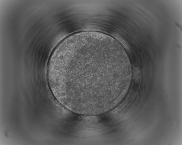 X0000090990856200708241424