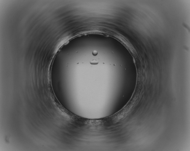 X0000090990858200708241424