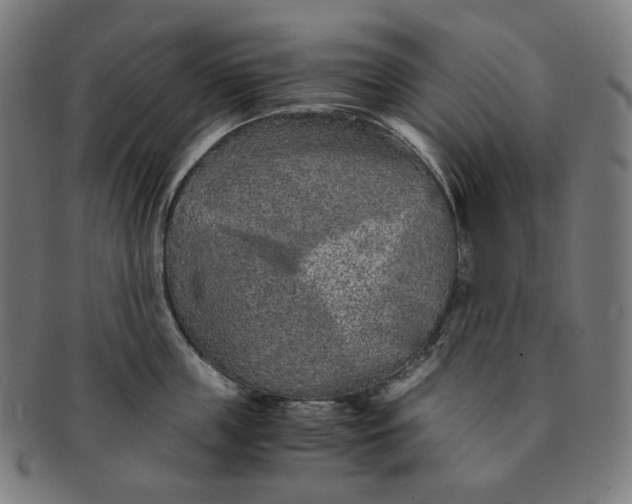 X0000090990859200708241424