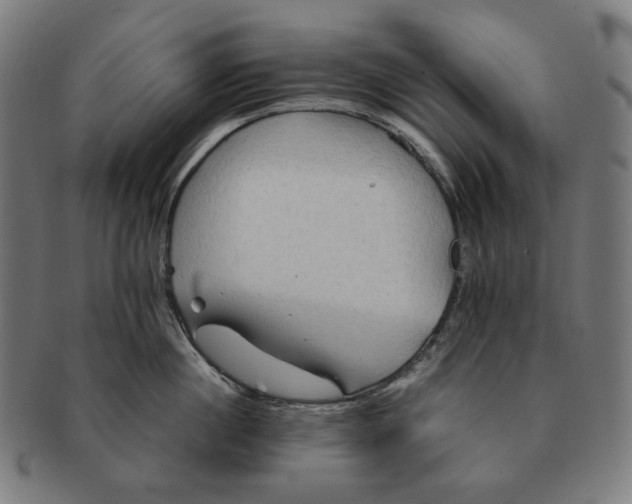 X0000090990860200708241424