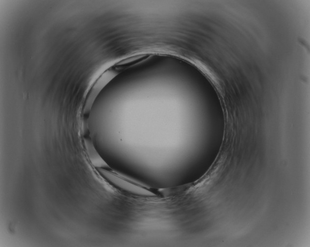 X0000090990862200708241424