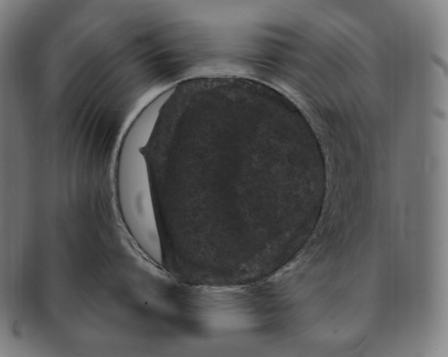 X0000090990864200708241424