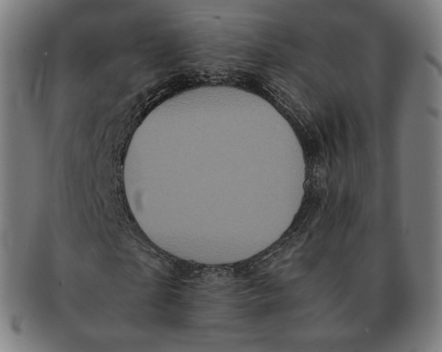 X0000090990865200708241424