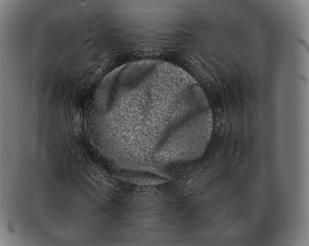 X0000090990866200708241423