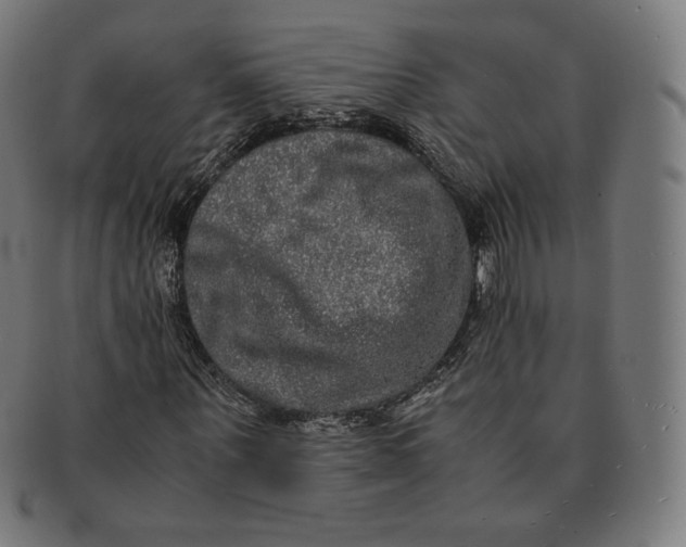 X0000090990867200708241423