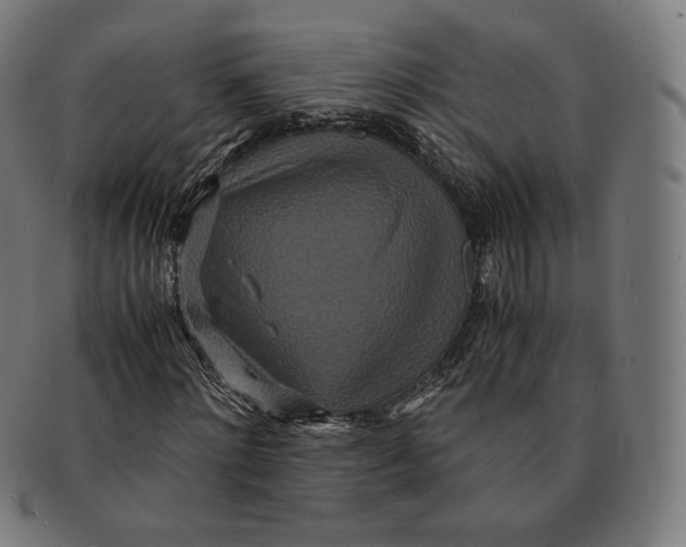 X0000090990868200708241423