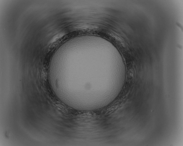 X0000090990869200708241423