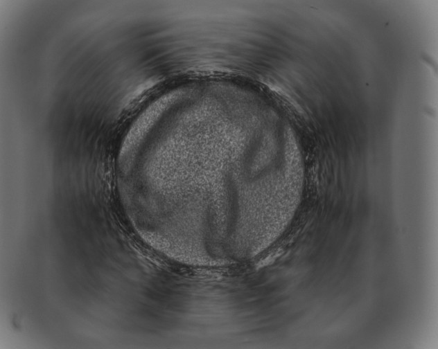 X0000090990870200708241423