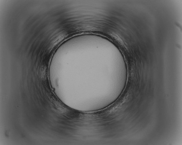 X0000090990873200708241423