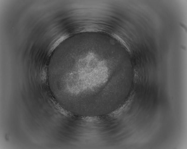 X0000090990874200708241423