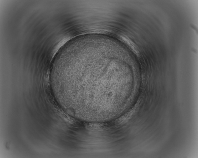 X0000090990875200708241423