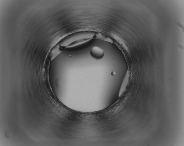 X0000090990876200708241423