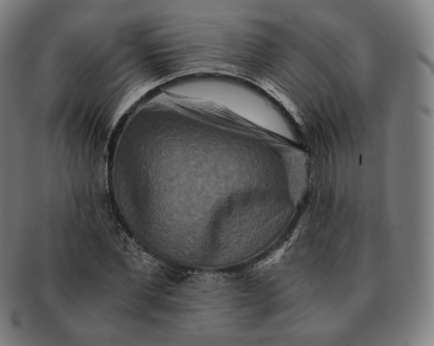 X0000090990877200708241423