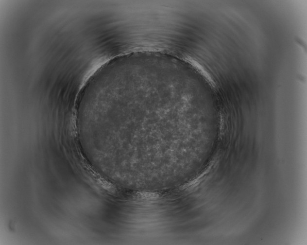 X0000090990878200708241423