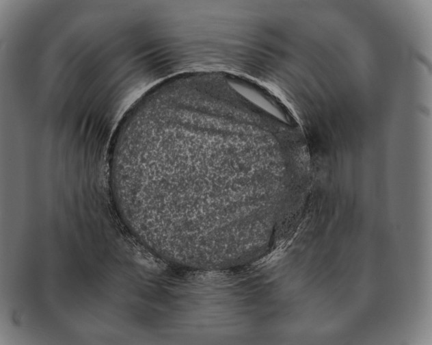 X0000090990879200708241423