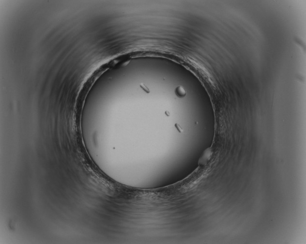 X0000090990880200708241423