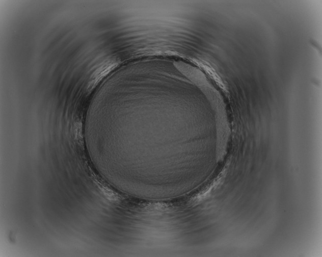 X0000090990881200708241423