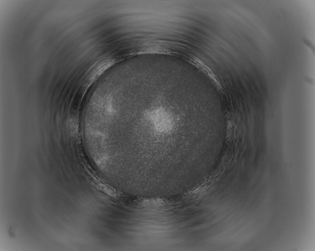 X0000090990882200708241423