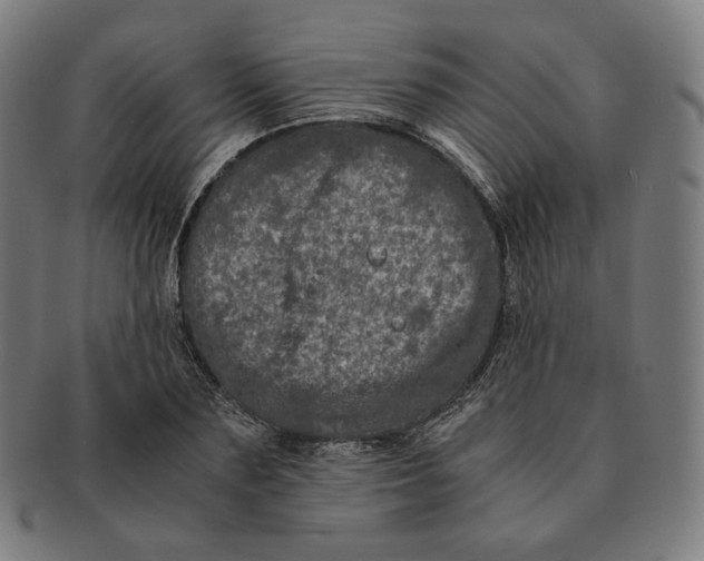 X0000090990883200708241423