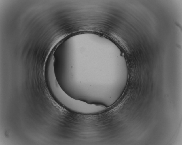 X0000090990884200708241423