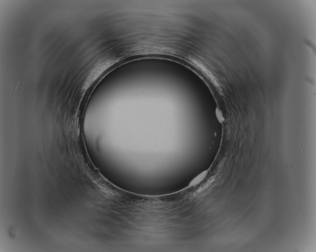 X0000090990885200708241423